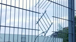 Preview Image for Hans Ostapenko Artist Portfolio Video Clip 